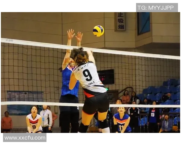 广州排球队的成长之路：一段激情与奋斗交织的排球纪实故事